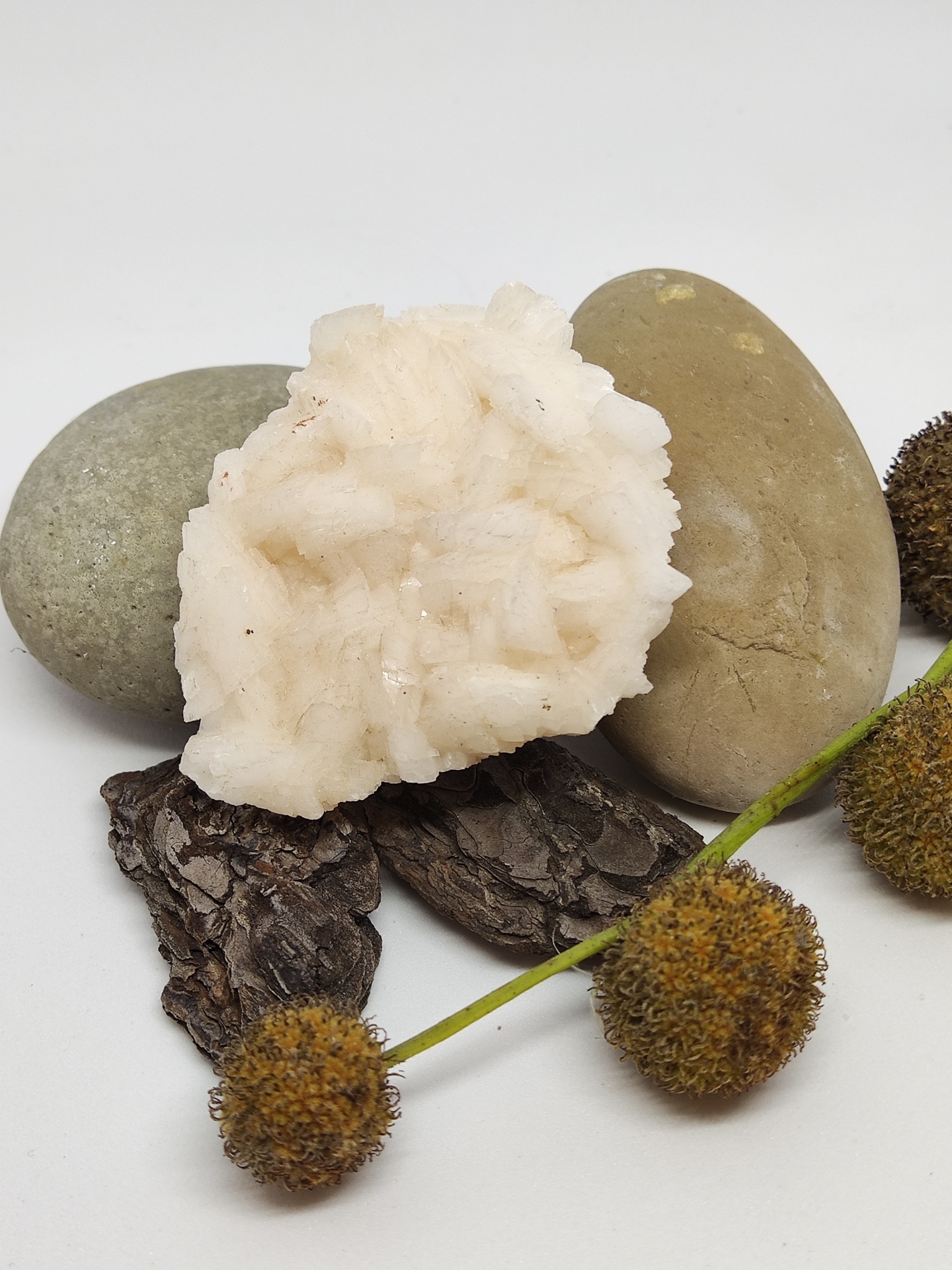 Conjunto de pedras, casca e frutos naturais sobre fundo branco