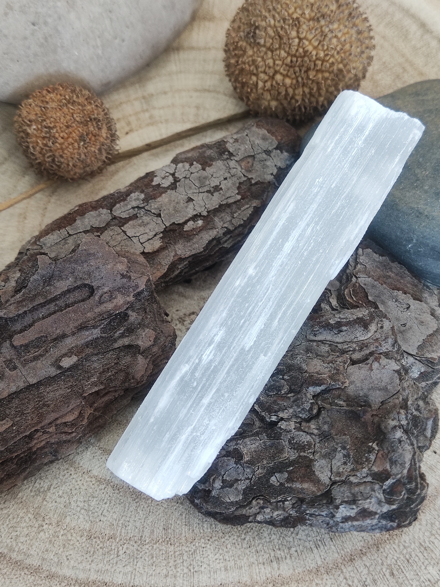 Barra branca translúcida sobre casca de árvore castanha e sementes marrons