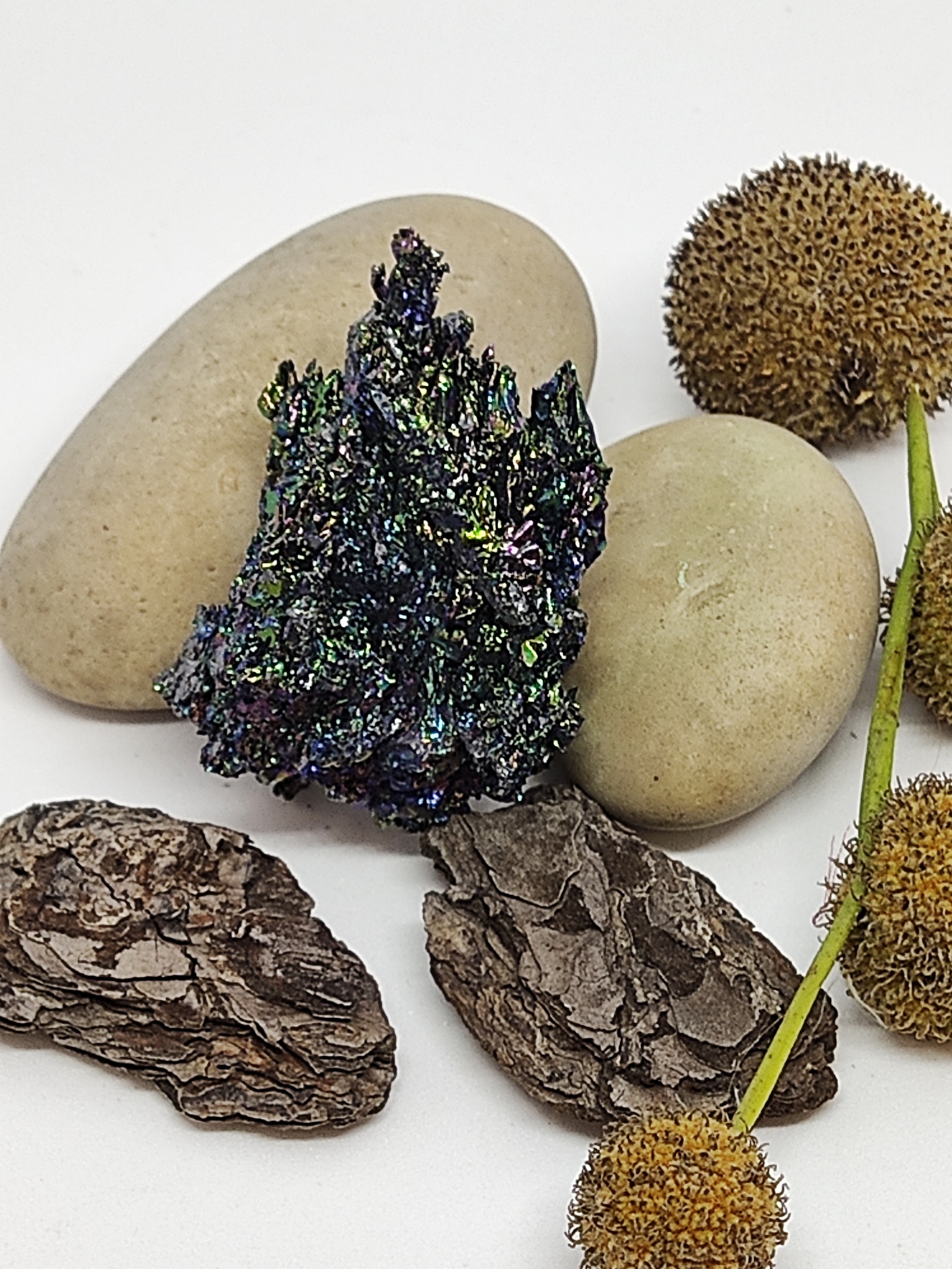 Conjunto de pedras naturais e elementos secos sobre fundo branco