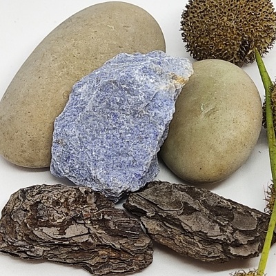 pedras azuis e castanhas, casca de árvore e sementes redondas com caule em fundo branco