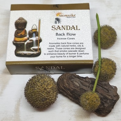 Caixa de cones de incenso Aromatika Sandal Back Flow com decorações naturais ao redor