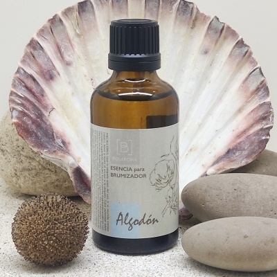 Frasco âmbar de essência para brumizador com concha e pedras ao redor