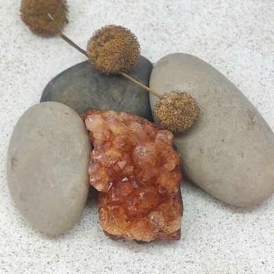 Pedras de diferentes texturas e plantas secas sobre superfície clara