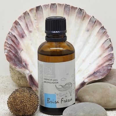 Frasco de essência para brumizador Brisa Fresca junto a pedras e concha na areia
