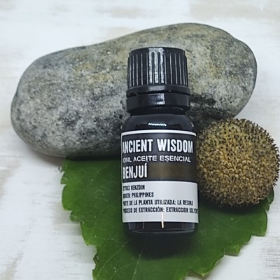 Frasco preto de óleo essencial sobre folha verde com pedra e bola castanha ao fundo