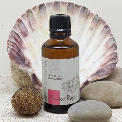 Frasco de essência para brumizador em frasco âmbar com pedras e concha ao fundo