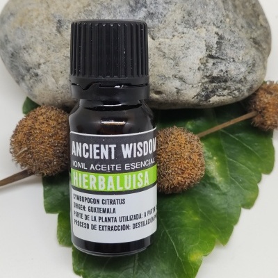 Frasco pequeno de óleo essencial Ancient Wisdom sobre folhas verdes e pedra cinza