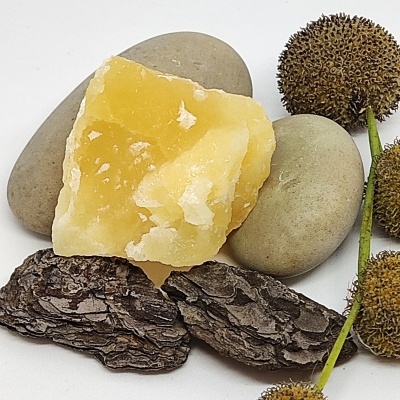 Pedra amarela, pedras cinzentas, casca marrom e flores esféricas castanhas sobre fundo branco