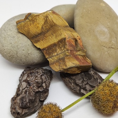 pedras cinza, peça com tons amarelos, cascas escuras e flores secas espinhosas