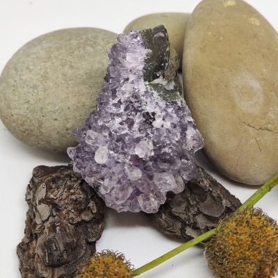 Conjunto de pedras, cascas e flores secas sobre fundo branco