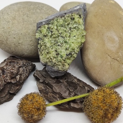 Pedras naturais de diversas texturas e cores com flores secas