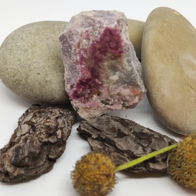 Seixos, pedra com manchas cor-de-rosa, casca escura e flores secas amarelas em fundo branco