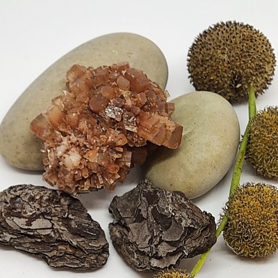 Pedras, cristais, casca de árvore e flores secas em fundo branco.