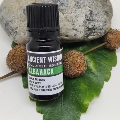 Frasco preto de aceite essencial de alfavaca com tampa preta sobre folhas verdes e pedra cinza