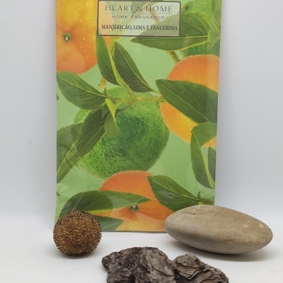 Embalagem de fragrância para casa com ilustração de limas e tangerinas com objetos naturais à frente