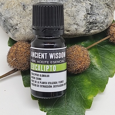 Frasco de óleo essencial Eucalipto com folhas e pedra