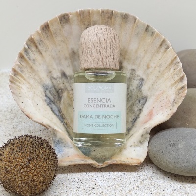 Frasco de essência concentrada Dama de Noche com tampa de madeira dentro de concha em fundo arenoso com pedras.