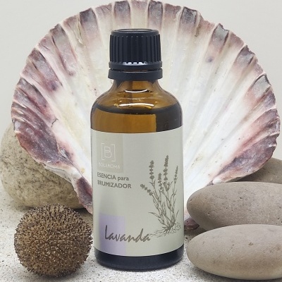 Frasco de essência de lavanda para brumizador sobre concha e pedras
