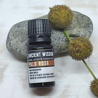 Frasco de óleo essencial sobre pedra com ramo de flores peludas.