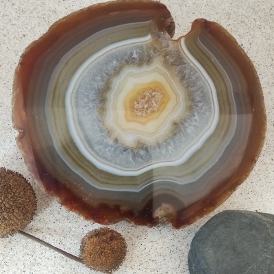 Fatia polida de ágata com flores secas e pedra em fundo claro