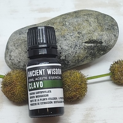 Frasco pequeno preto de óleo essencial CLAVO com pedra cinza e flores secas ao fundo