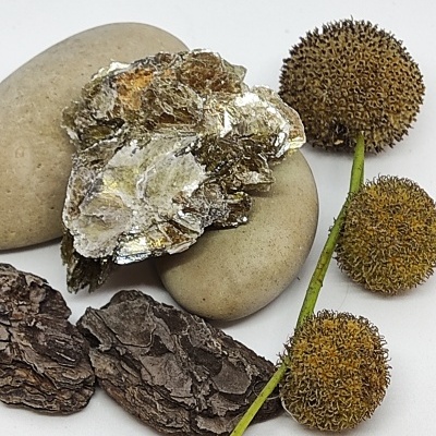 Elementos naturais: pedras, casca, mineral metálico e bolbos espinhosos em fundo branco