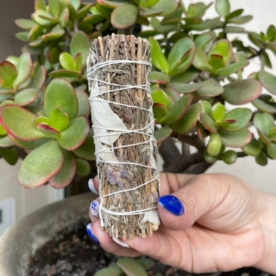 Maço de ervas amarradas com corda, mão a segurá-lo, planta suculenta ao fundo