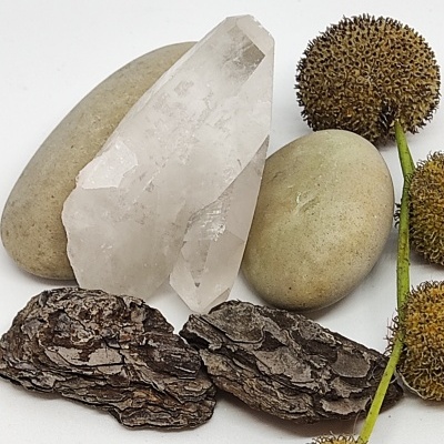 Cristal transparente, pedras ovais bege, cascas de árvore castanhas e frutos arredondados castanhos sobre fundo branco