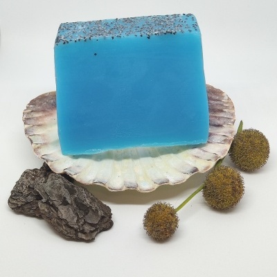 Sabonete azul com partículas escuras no topo numa concha junto a casca e bolbos em fundo branco