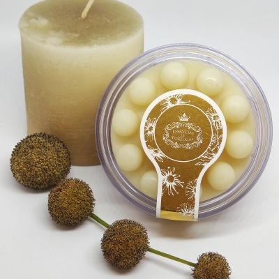 Vela cylindrical, pacote de esferas brancas e frutos secos castanhos sobre fundo branco