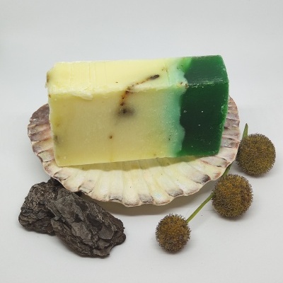 barra de sabão bicolor amarelo e verde sobre concha com flores secas e casca de árvore