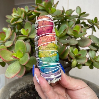 Incenso de sálvia colorido segurado por mão feminina com unhas azuis, planta suculenta ao fundo.