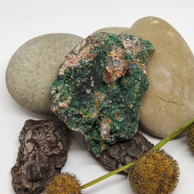 Composição de pedras e flores secas sobre fundo branco