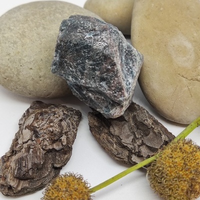 Pedras, casca de árvore e sementes secas sobre fundo branco