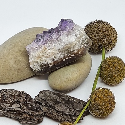 Cristal ametista com pedras, casca de árvore e bolas secas sobre fundo branco