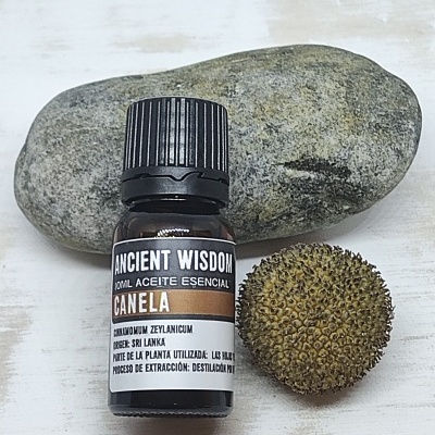 Frasco de óleo essencial de canela com uma pedra e uma baía ao lado, sobre uma superfície branca