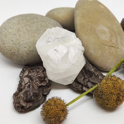 Pedras, casca de árvore e frutos secos sobre fundo branco