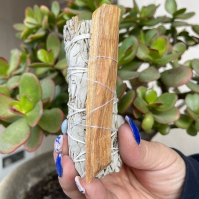 Feixe de sálvia branca e pau castanho segurados por mão com unhas azuis, planta suculenta ao fundo.