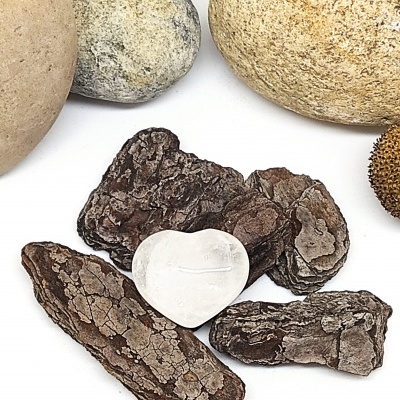 Pedras naturais, fragmentos de casca seca e pedra em forma de coração branco sobre fundo branco