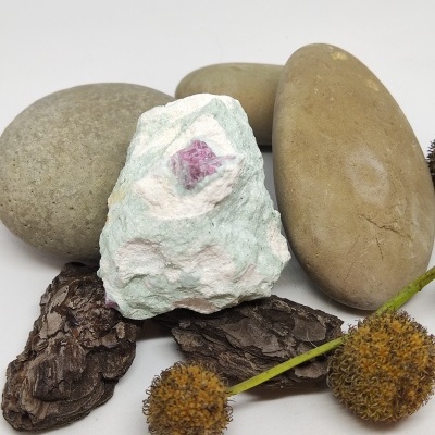 pedras decorativas de várias cores e texturas com casca e flores secas sobre fundo branco