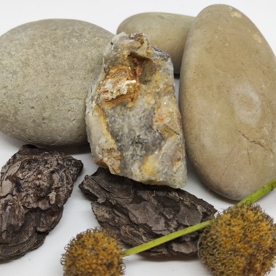 Pedras naturais, casca de árvore e flores secas sobre fundo branco.