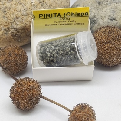 Frasco pequeno com pirita metálica em caixa branca e etiqueta amarela, rodeado por pedras e frutos secos castanhos