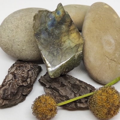 pedras naturais, casca de árvore e frutos secos em fundo branco