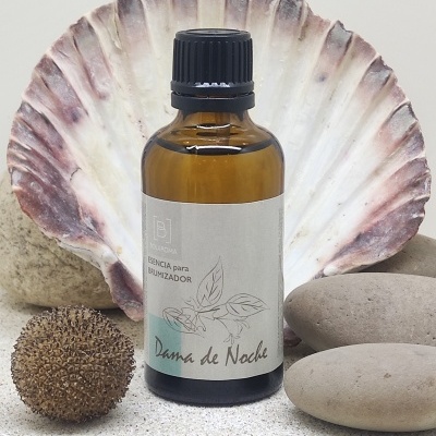 Frasco âmbar de essência para umidificador com concha e pedras ao fundo