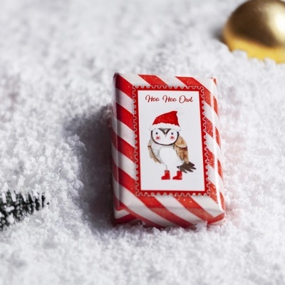 Objeto embrulhado com etiqueta de coruja natalina em superfície de neve