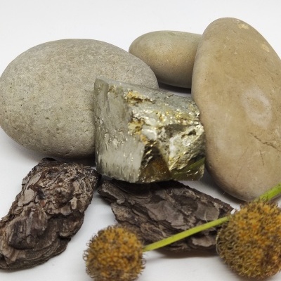 Pedras lisas, cascas de árvore e flores secas sobre superfície branca