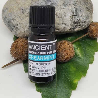 Frasco pequeno de óleo essencial sobre folha verde, sementes castanhas e pedra cinzenta