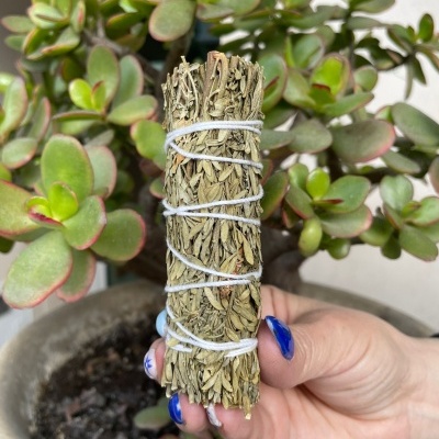 Maço de ervas secas amarrado com fio branco segurado por mão com unhas azuis, com planta suculenta ao fundo