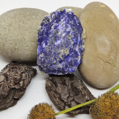 Pedras, casca e flores secas sobre fundo branco