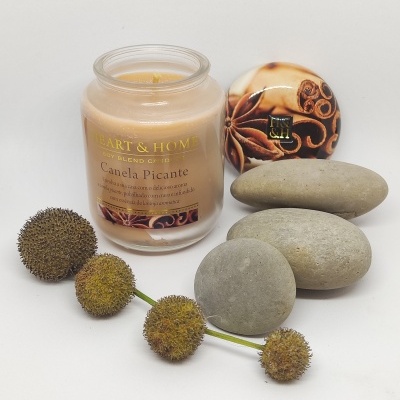 Vela perfumada Canela Picante com pedras e flores secas